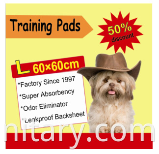 potty training pad